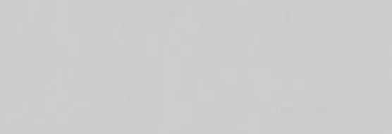Nuva Perla 33.3x100